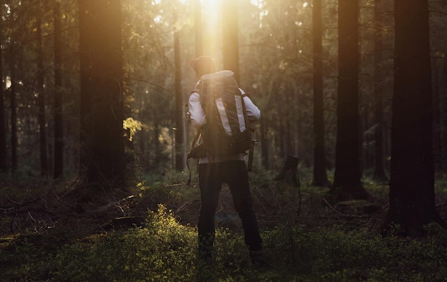 Wandelaar die in het bos staat en naar de zonsondergang over bomen kijkt