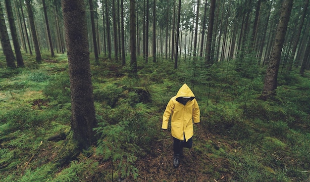 wandelaar met gele regenjas loopt in het mistige bos