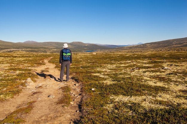 Wandelaar met rugzak reizen in bergen Dovrefjell