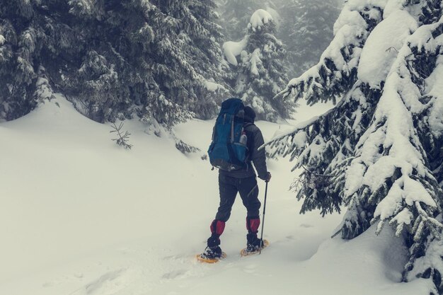 Wandelaar met sneeuwschoenen in de winter