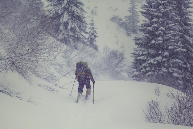 Wandelaar met sneeuwschoenen in de winter