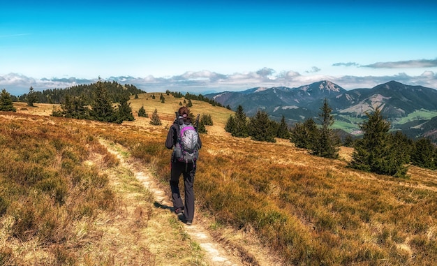 Wandelaar vrouw lopen op bergkam in de bergen van de Grote Fatra in Slowakije