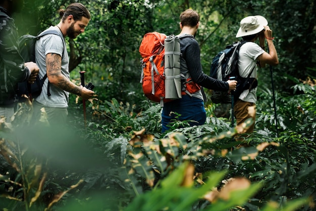 Wandelaars die samen in een bos trekken