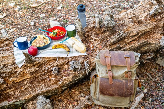 Wandelaars genieten van een picknick op de top van een boomstam omringd door natuur rugzak en wandelpaal