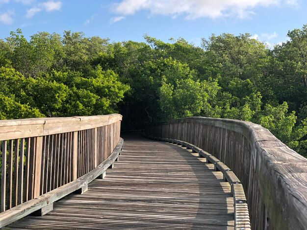 Foto wandelbrug tussen bomen tegen de lucht