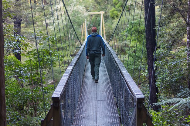 Wandelen en wandelen in Nieuw-Zeeland. Wandel- en avontuurconcept