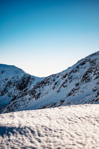 Wandelen in de bergen van Slowakije Uitzicht vanaf de heuvels Chopok lage Tatra Jasna Slowakije Winterlandschap