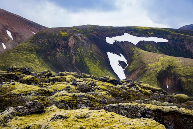 Wandelen in de hooglanden met sneeuw, groen vulkanisch mos, kleurrijke berg, Landmannalaugar, IJsland