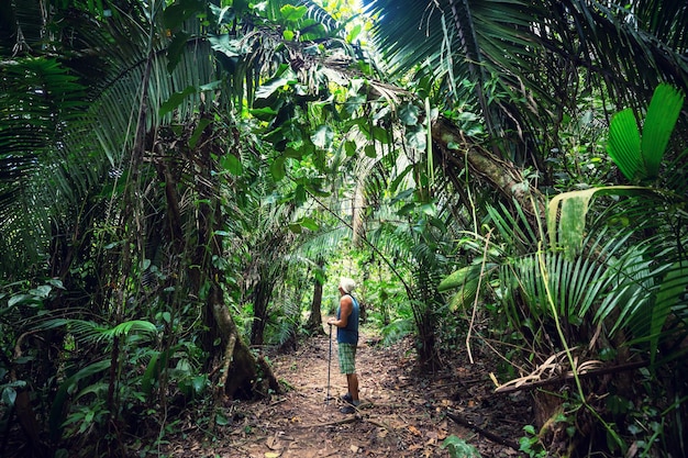 Wandelen in de jungle.