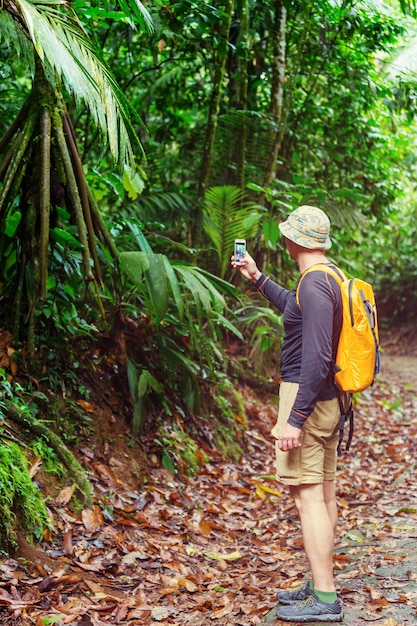 Wandelen in groene tropische jungle, Costa Rica, Midden-Amerika