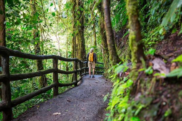 Wandelen in groene tropische jungle, Costa Rica, Midden-Amerika