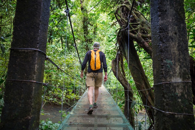 Wandelen in groene tropische jungle, Costa Rica, Midden-Amerika