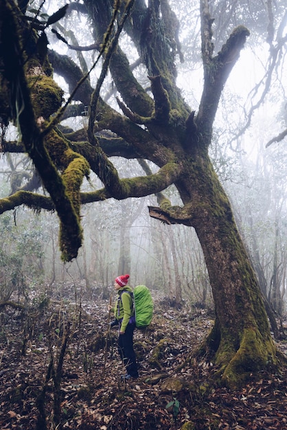 Wandelen in het bos met rugzak