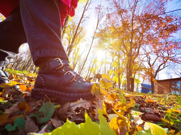 Wandelen in het herfstpark en droge bladeren schoppen