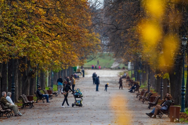 Wandelen in het park