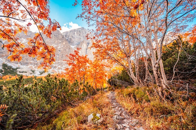 Wandelen in nationaal park Hoge Tatra Wandelen van wit meer naar groen meer in het berglandschap Zelene pleso Slowakije