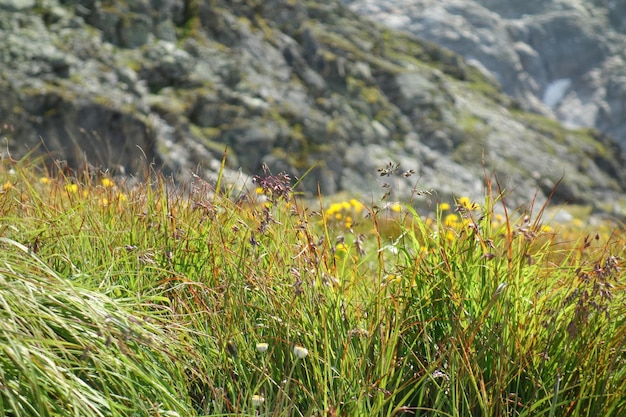 wandelen in Oostenrijk