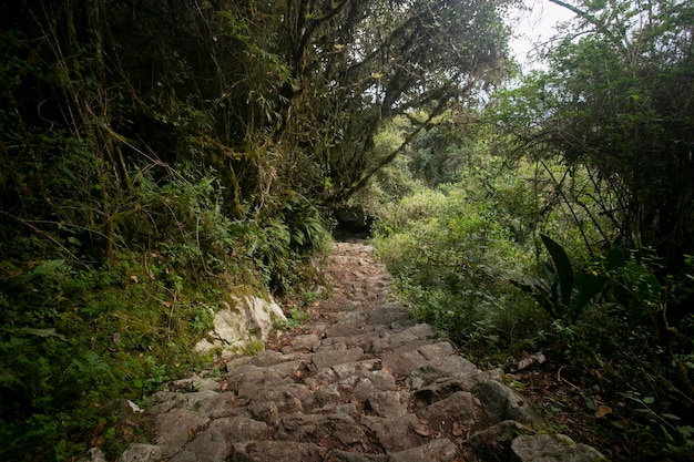 Wandelen naar de stad Machu Picchu via het Inca-pad. Stenen trap.