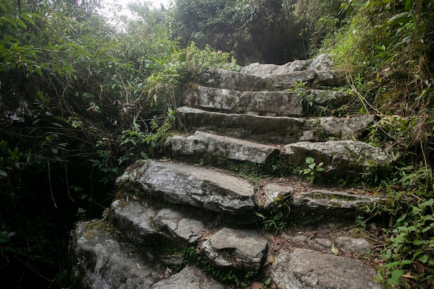 Wandelen naar de stad Machu Picchu via het Inca-pad. Stenen trap.