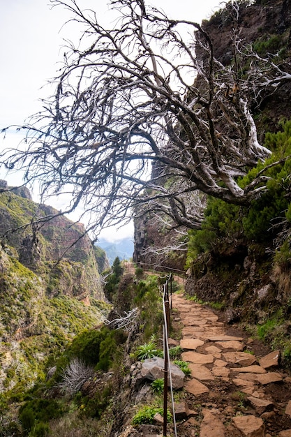 Wandelen Pico do Arieiro naar Pico Ruivo