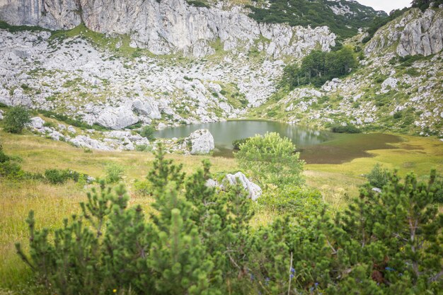 Wandelen trekking in de bergen