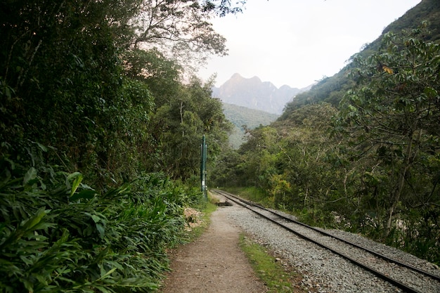 Wandelen van Santa Teresa Hidroelctrica naar Aguas Calientes om Machu Picchu te bereiken.