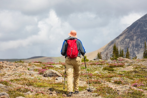 Wandelende man in canadese bergen. wandeling is de populaire recreatieactiviteit in noord-amerika. er zijn veel pittoreske paden.