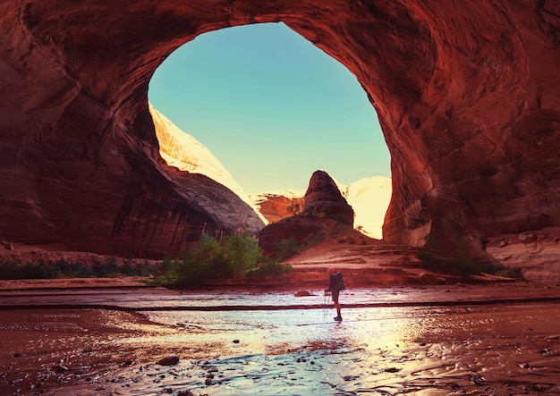 Wandeling in Coyote gulch