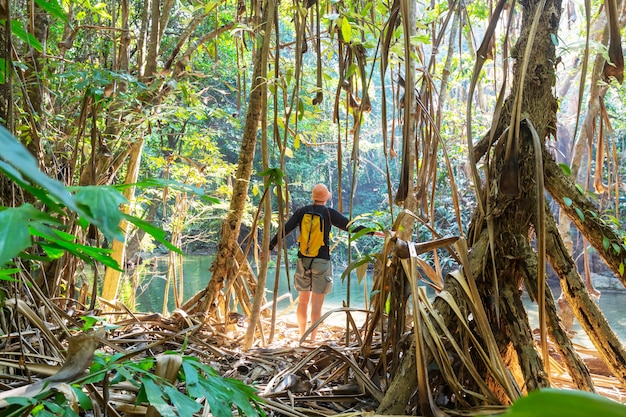 Wandeling in de jungle