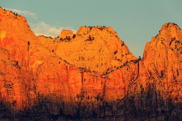 Wandeling in Zion National Park