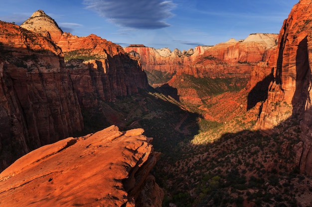 Wandeling in Zion National Park