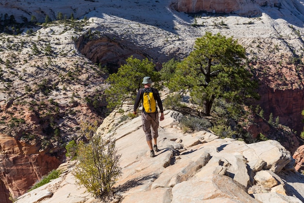 Wandeling in Zion National Park