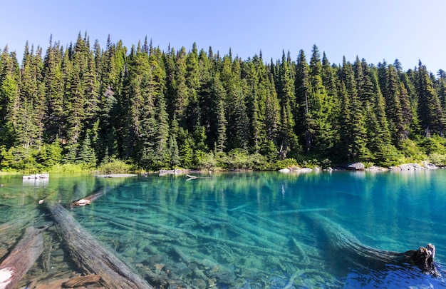 Wandeling op Garibaldi Lake in de buurt van Whistler, BC, Canada.