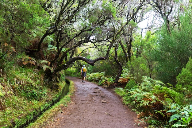 Wandeling op Madeira