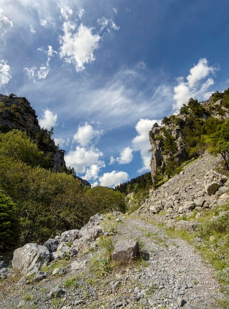 Wandelpad in de bergkloof van Agali op het eiland Evia in Griekenland