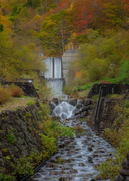 Wandelpad in de buurt van een rivier in de herfst