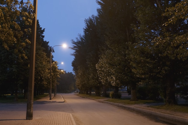 Wandelpad in het avondzomerpark