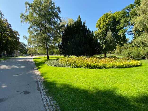 Wandelpad in het park tegen een heldere hemel