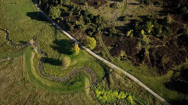 Wandelpad in rebild bakker in denemarken