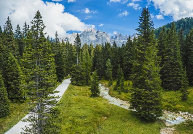 Wandelpad in Val Venegia Trentino Dolomieten Italië