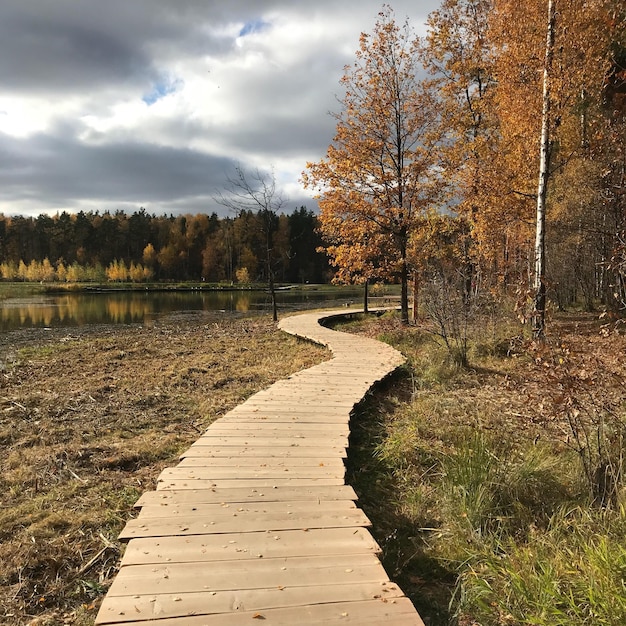 Wandelpad langs het meer tegen de hemel in de herfst