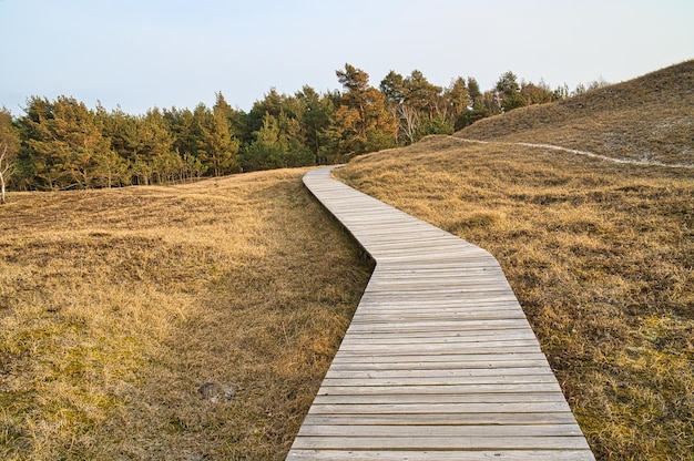 Foto wandelpad over een houten loopbrug naar de hoge duin in het darss national park