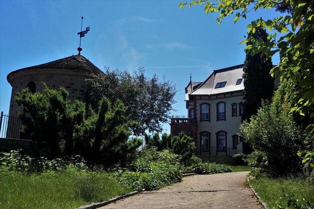 Wandelpad tussen bomen en gebouwen tegen de lucht