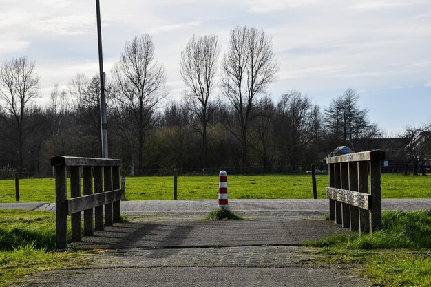 Foto wandelpad tussen de bomen op het veld tegen de lucht