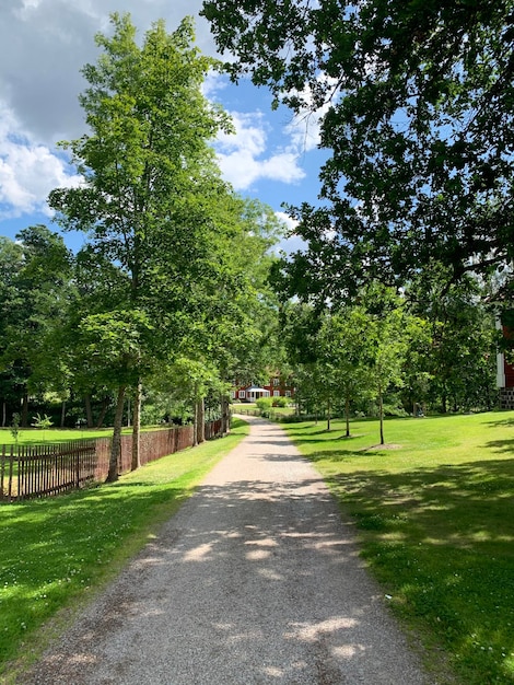 Foto wandelpad tussen de bomen tegen de lucht