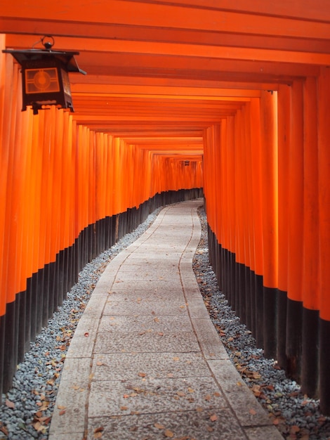 Wandelpad tussen de torii-poorten bij het fushimi-inari-heiligdom