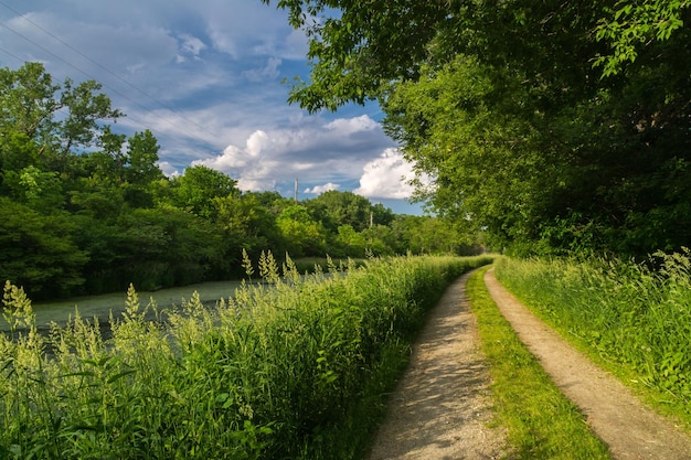 Wandelpad tussen planten tegen bewolkte lucht