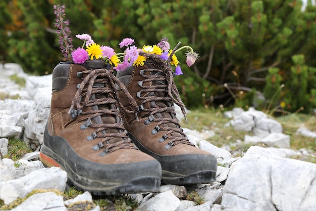 Wandelschoenen met bloemen in de bergen