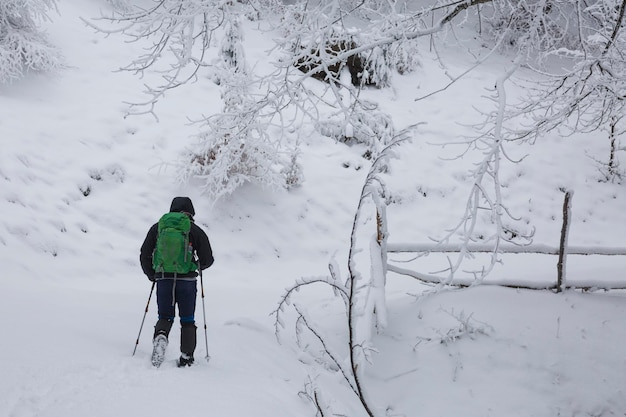 Wandeltoerist in de witte besneeuwde bergwandeling in het bos