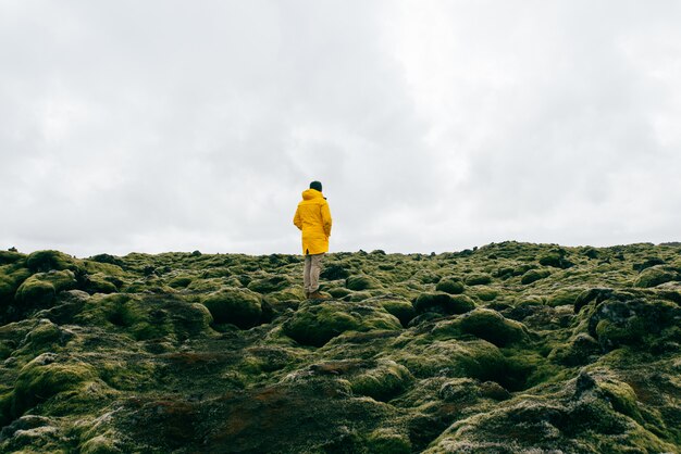 Wanderlust-ontdekkingsreiziger die IJslandse natuurlijke wonderen ontdekt